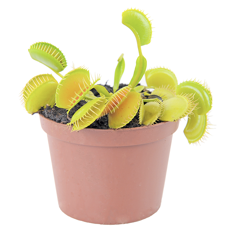 Asset 10_October.png