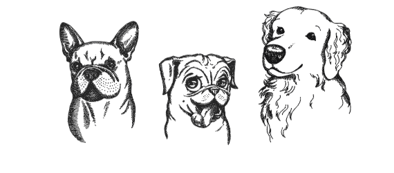 Screenshot 2024-06-03 at 11.00.00 AM.png