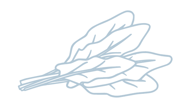 Screenshot 2024-06-03 at 1.06.31 PM.png